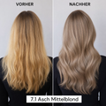 7.1 Asch Mittelblond